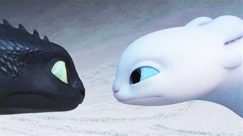 toothless girlfriend|toothless and light fury girlfriend.